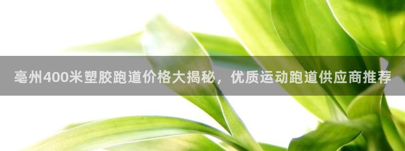红足一1世官网比分：亳州400米塑胶跑道价格大揭秘，优质运动跑道供应商推荐