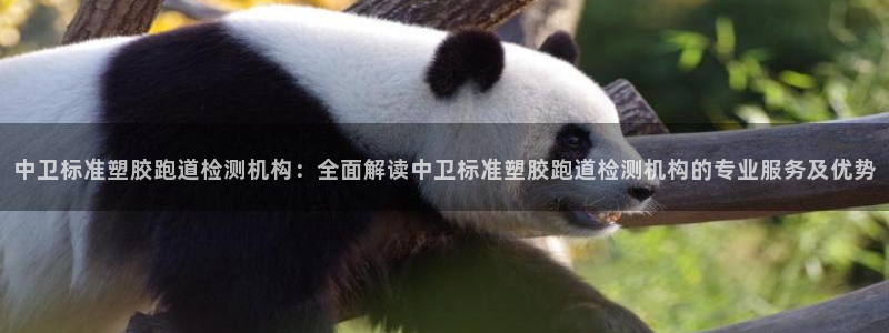 4633333开奖结果4176一点红：中卫标准塑胶跑道检测机构：全面解读中卫标准塑胶跑道检测机构的专业服务及优势