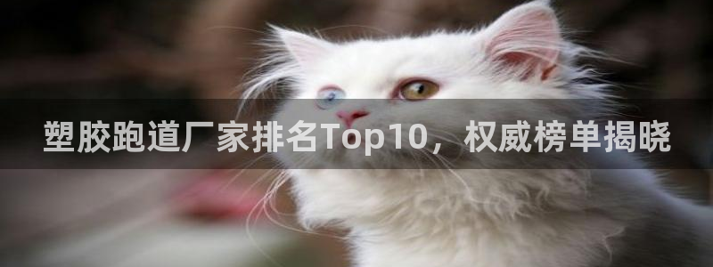 红足1世1站2站管理网：塑胶跑道厂家排名Top10，权威榜单揭晓