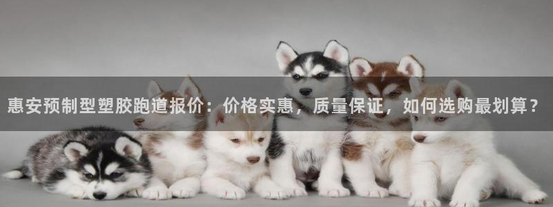 红足一1世平台：惠安预制型塑胶跑道报价：价格实惠，质量保证，如何选购最划算？