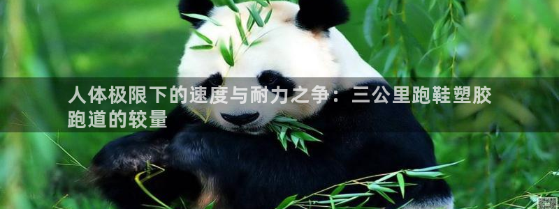 红足一1世比分网：人体极限下的速度与耐力之争：三公里跑鞋塑胶
跑道的较量