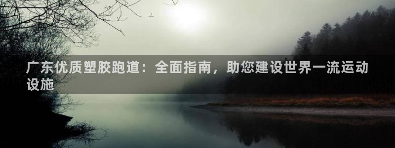 红足一1世666814足球比分网：广东优质塑胶跑道：全面指南，助您建设世界一流运动
设施