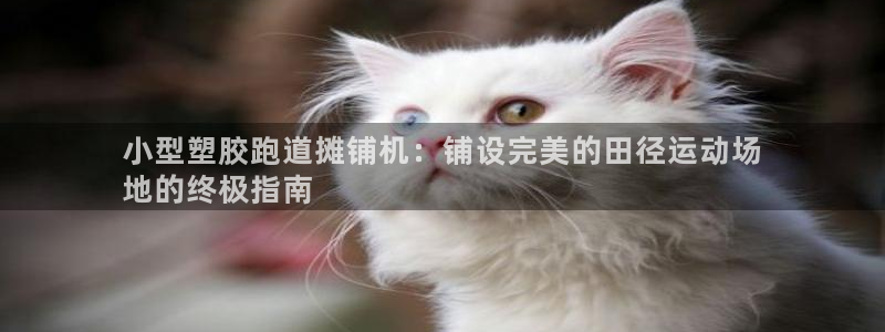 红足一1世：小型塑胶跑道摊铺机：铺设完美的田径运动场
地的终极指南