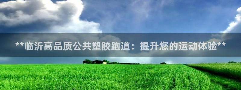 55814红足1世：**临沂高品质公共塑胶跑道：提升您的运动体验**