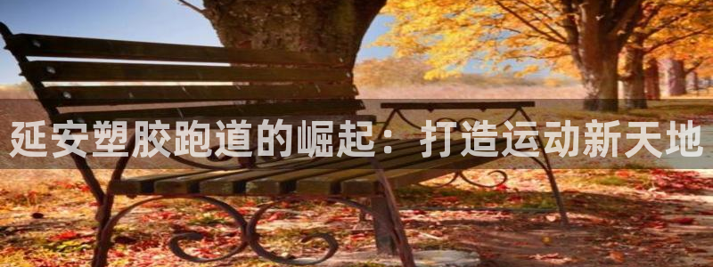 红足一：延安塑胶跑道的崛起：打造运动新天地