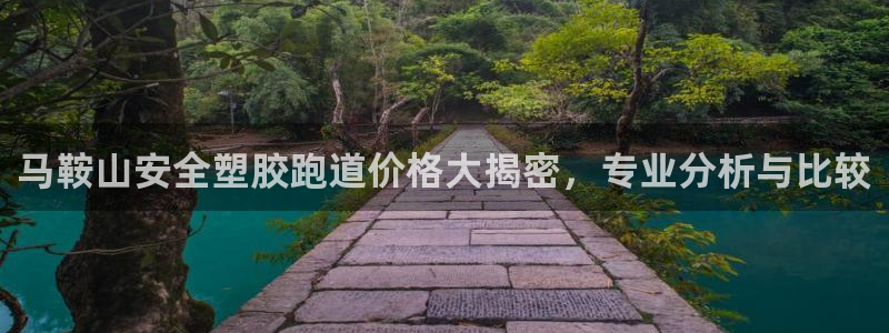 红足1一世：马鞍山安全塑胶跑道价格大揭密，专业分析与比较