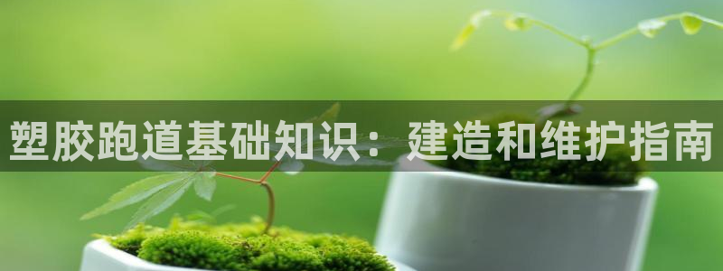 红足一一世足球网开奖记录：塑胶跑道基础知识：建造和维护指南