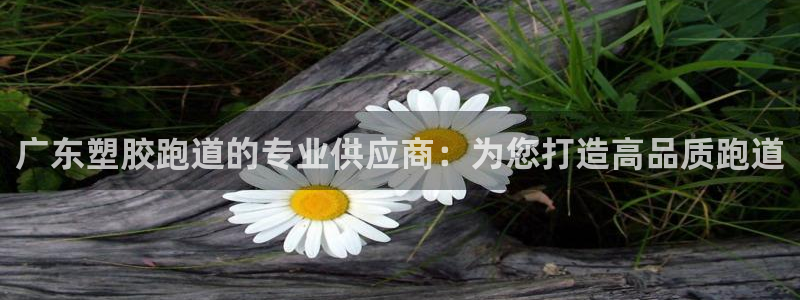 红足一1世即时比分：广东塑胶跑道的专业供应商：为您打造高品质跑道