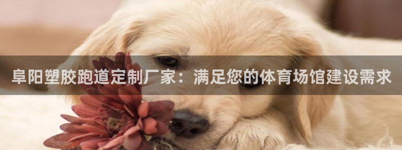 66814红足：阜阳塑胶跑道定制厂家：满足您的体育场馆建设需求