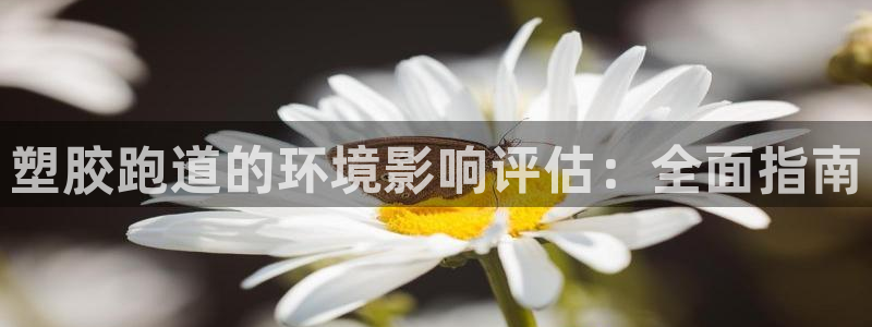 红足1世1站：塑胶跑道的环境影响评估：全面指南