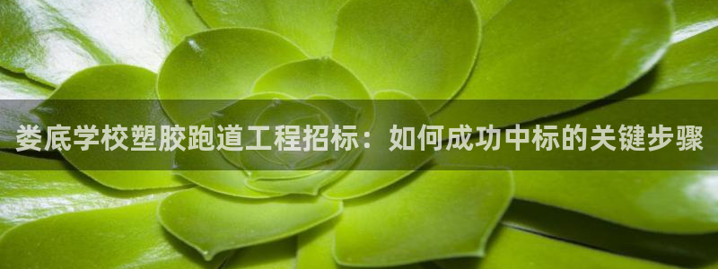 55814红足1世：娄底学校塑胶跑道工程招标：如何成功中标的关键步骤