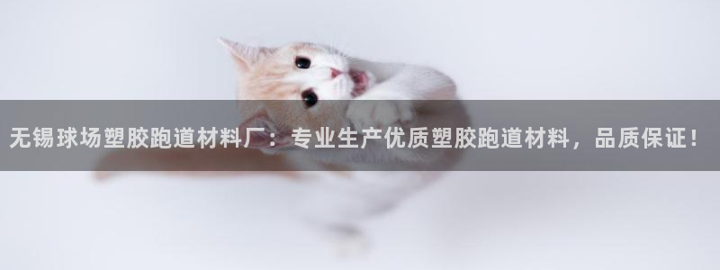 红足1世足球比分 localhost：无锡球场塑胶跑道材料厂：专业生产优质塑胶跑道材料，品质保证！