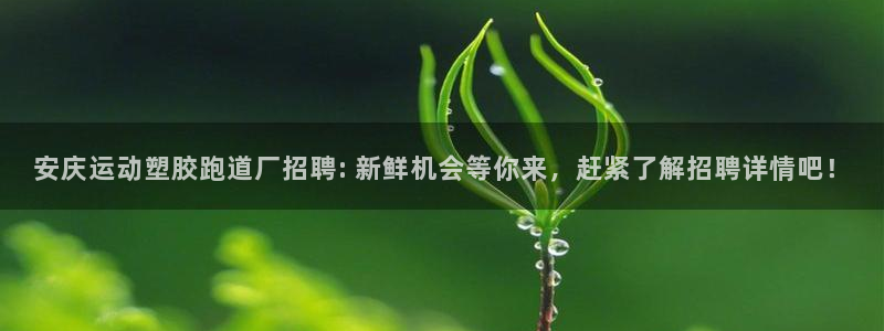 红足1世手机板：安庆运动塑胶跑道厂招聘: 新鲜机会等你来，赶紧了解招聘详情吧！