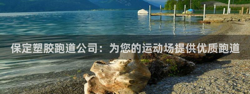 红足1世1站2站管理网：保定塑胶跑道公司：为您的运动场提供优质跑道
