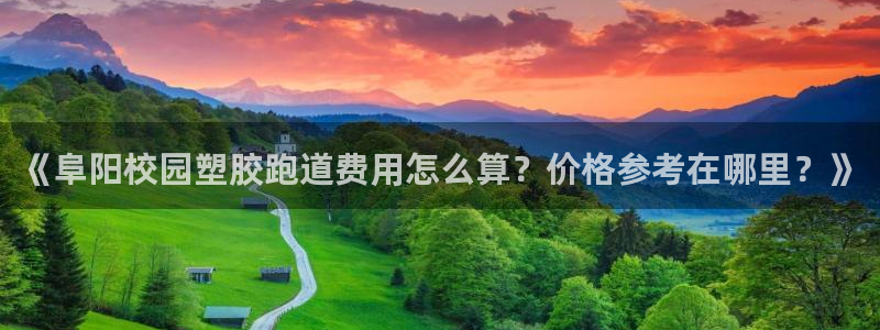 红足一1世77814：《阜阳校园塑胶跑道费用怎么算？价格参考在哪里？》