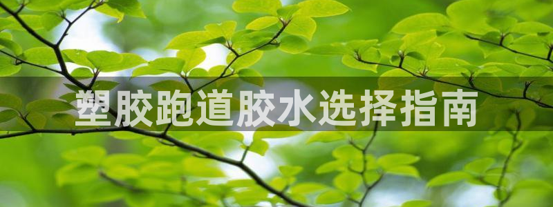 红足1世足球：塑胶跑道胶水选择指南