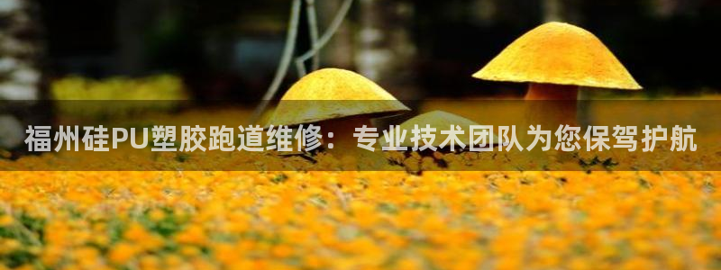 红足i世足球手机网：福州硅PU塑胶跑道维修：专业技术团队为您保驾护航