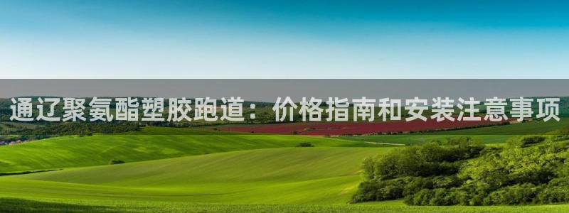红足一比分网：通辽聚氨酯塑胶跑道：价格指南和安装注意事项