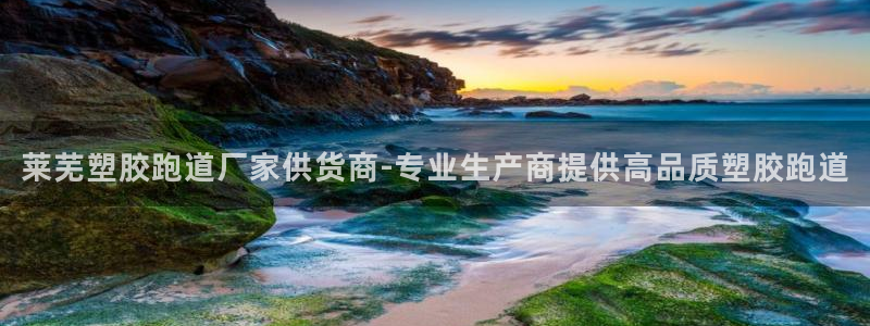 红足一1世官网：莱芜塑胶跑道厂家供货商-专业生产商提供高品质塑胶跑道