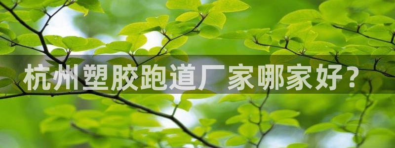红足一生世：杭州塑胶跑道厂家哪家好？
