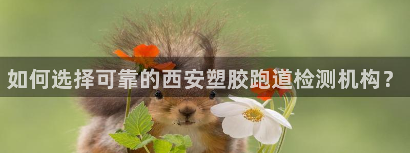 红足一1世比分网：如何选择可靠的西安塑胶跑道检测机构？