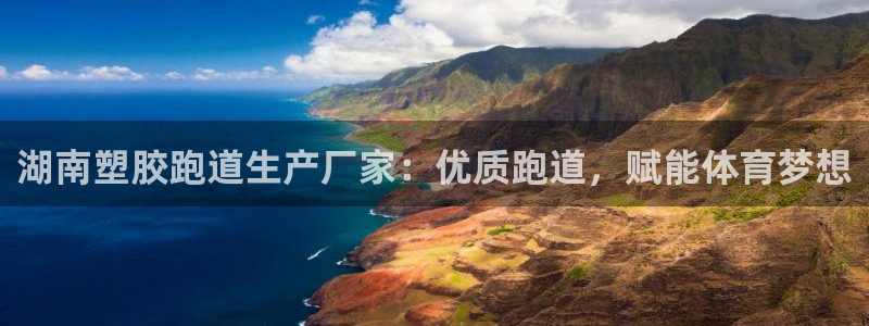 红足1世足球网址大全：湖南塑胶跑道生产厂家：优质跑道，赋能体育梦想