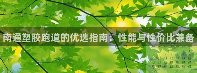 红足1世足球比分：南通塑胶跑道的优选指南：性能与性价比兼备