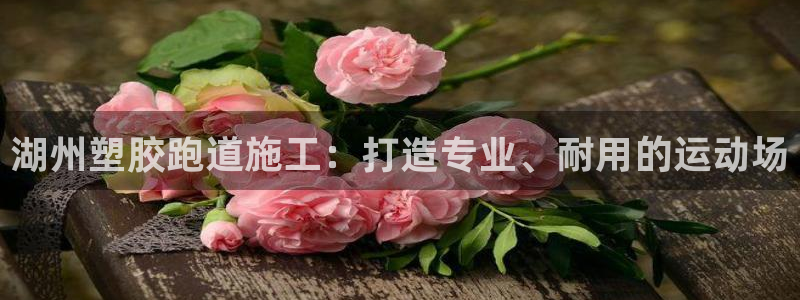 红足1一世：湖州塑胶跑道施工：打造专业、耐用的运动场