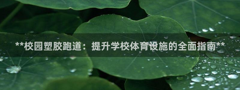 红足一1世手机开奖：**校园塑胶跑道：提升学校体育设施的全面指南**