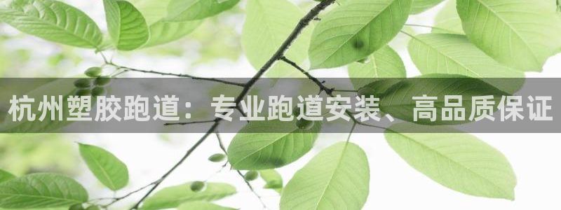 红足一1世比分球探：杭州塑胶跑道：专业跑道安装、高品质保证