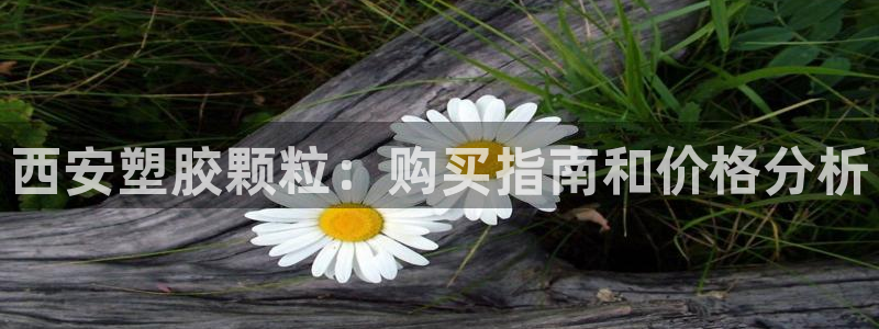 红足一1世即时比分：西安塑胶颗粒：购买指南和价格分析