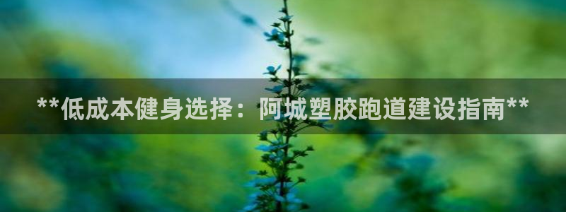 红足一1世手机开奖：**低成本健身选择：阿城塑胶跑道建设指南**